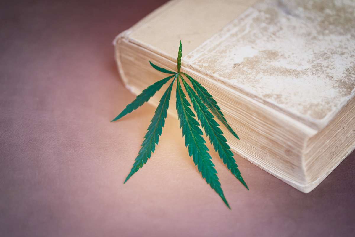 livre de cannabis