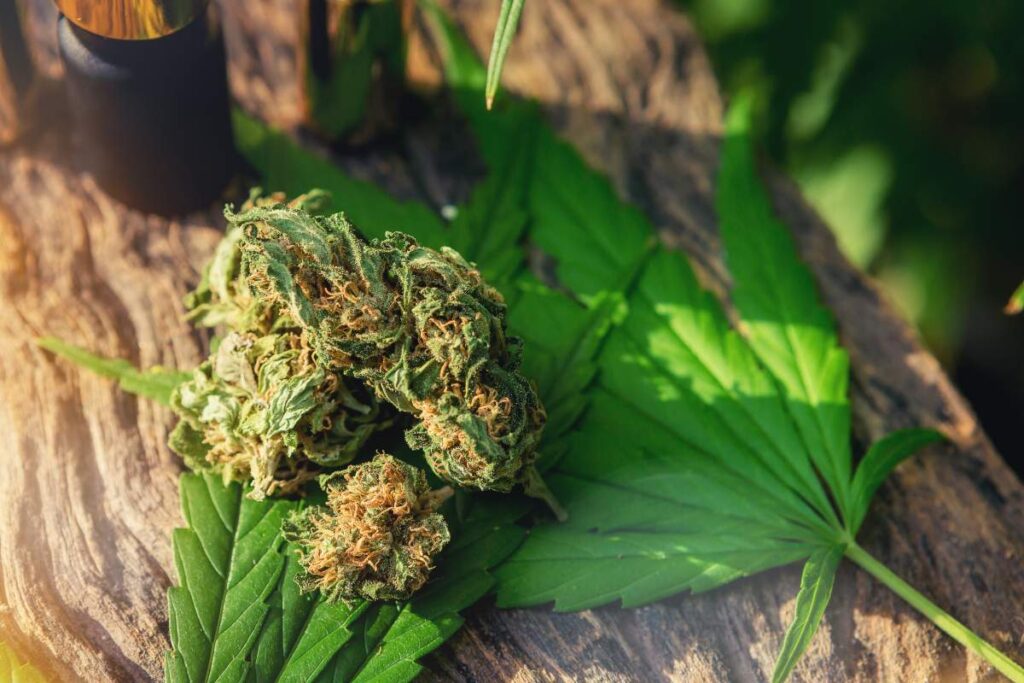 cbd